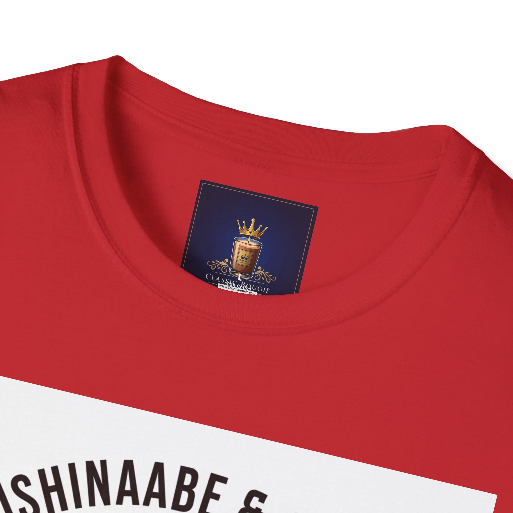 Anishinaabe & Ojibwe Native Spirit Unisex T-Shirt, Boho Graphic Tee, Cultural Pride Shirt, Festival Wear, Unique Gift for Her & Him